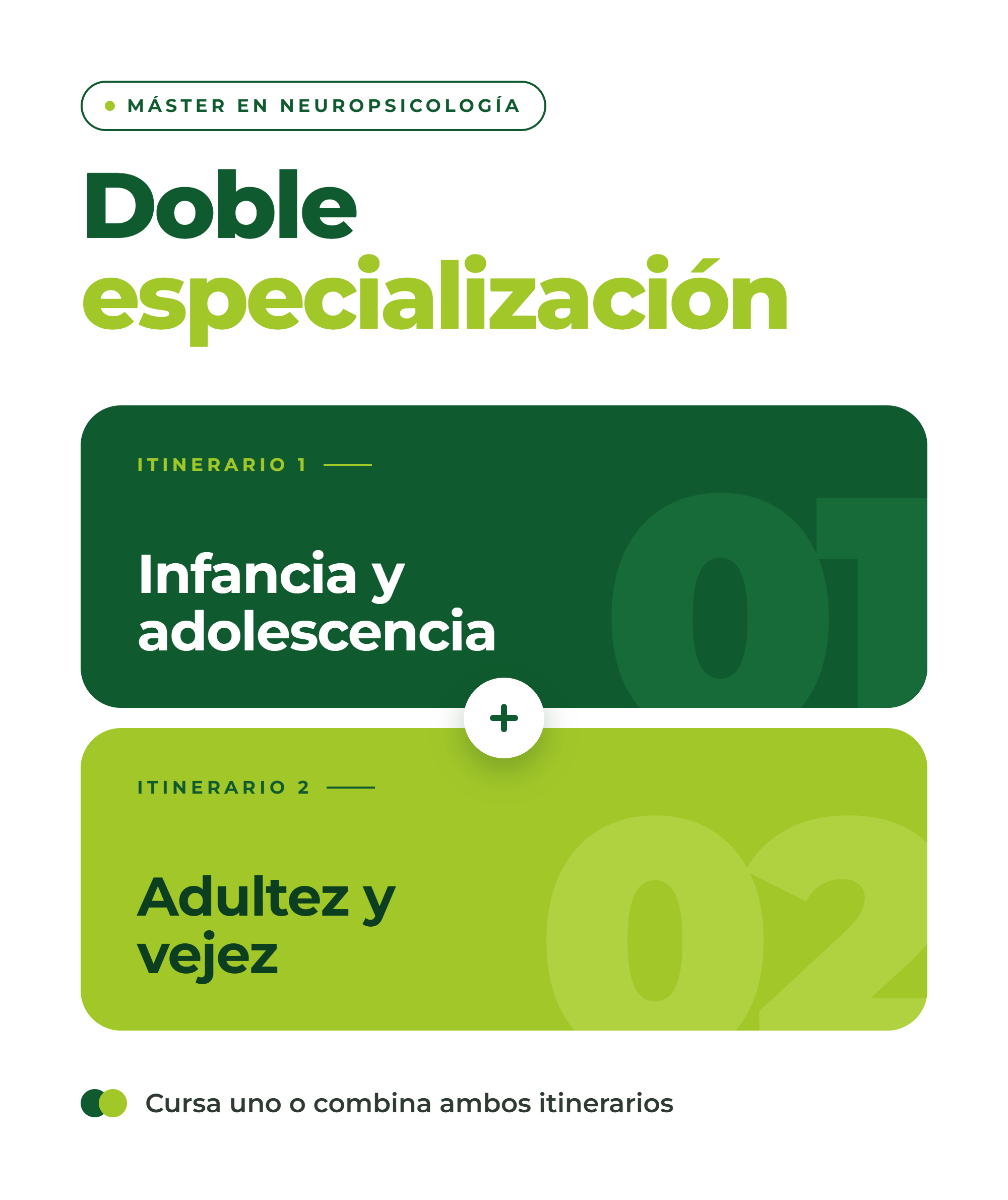 itinerario neuro 2
